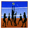 Sports volleyball